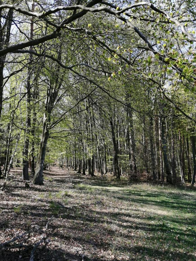 Penzion Uhliska A Depandance Gazdovsky Dom Nemšová Eksteriør bilde